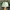 Vintage Streetwear Hat Pria white photo 1