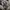 The North Face x Kazuki Kuraishi FW18 Gore-tex Utility Jacke photo 5