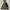 The North Face x Kazuki Kuraishi FW18 Gore-tex Utility Jacke photo 1