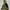 The North Face X Kazuki Kuraishi FW18 Gore-tex Utility Jacke