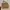 JIMS HONEY - Tas Selempang Sling Bag Hand Bag Shoulder Wanit photo 2
