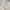 80’s Vintage Hawaiian Pattern Punk Party Dance photo 2