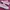 Vans Oldskool Pink photo 2