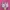 Vans Oldskool Pink photo 4