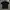 Lacoste Black Multicolor Logo Rare Collection Polo Shirt