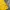 Tommy Hilfiger Yellow White Stripe Polo Shirt photo 3