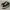 Converse One Star Academy Bw