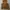 Brown Leather Vest photo 4