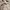 Burberry Cream List Stripe Polo Shirt Original photo 6