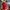 Hugo Boss Moisture Manager Red Polo Shirt photo 1