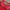 Hugo Boss Moisture Manager Red Polo Shirt photo 6