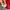 Hugo Boss Moisture Manager Red Polo Shirt photo 7