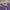 Hugo Boss Purple Grey List Modern Fit Polo Shirt photo 3