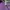 Hugo Boss Purple Grey List Modern Fit Polo Shirt photo 7