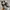 Salomon ACS Pro photo 1