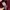 Blus long sleeves Topshop burgundy photo 3