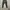Cargo Pants Moncler  photo 4