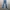 Jeans Saint Laurent Skinny photo 1