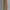 Uniqlo Minimalist Casual Pria Multicolor Tan