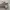 Jeep Vintage Casual Sweater Pria gray photo 4