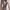 multicolored woman’s shirt  photo 1