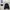 The North Face Apex Softshell Jacket