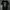 Metallica Death Magnetic By The Maxx Rock photo 1