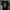 Metallica Death Magnetic By The Maxx Rock