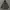 Bareback / Realdress Japanese Brand Archive Tactical Jacket 