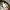 Stussy Streetwear Casual Pria multicolor photo 4