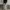 Baggy Sweatpants Blank photo 3