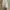 Baggy Sweatpants Blank Grey Abu-Abu photo 5
