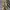 Converse Streetwear Skater Sneakers Pria tan khaki photo 3