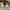 Converse Streetwear Skater Sneakers Pria tan khaki photo 4