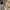 COACH Vintage Totebag Shoulder Hobo Long Handle Tas Coc photo 10