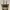COACH Vintage Totebag Shoulder Hobo Long Handle Tas Coc photo 1