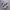 Nike Air Max Tn Plus Drift Phantom Cacao Wow