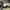 y2k Distresed Studed Cadethat Star  photo 8