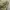 y2k Distresed Studed Cadethat Star  photo 9