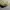 y2k Distresed Studed Cadethat Star  photo 5