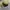 y2k Distresed Studed Cadethat Star  photo 4