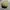 y2k Distresed Studed Cadethat Star  photo 6