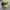 y2k Distresed Studed Cadethat Star  photo 3