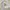 Streetwear Casual Sweatshirt Pria gray photo 1