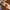 Streetwear Sportswear Bomber jacket Pria multicolor photo 4