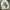title fight + 3 CD photo 2