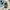 title fight + 3 CD photo 6