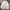 title fight + 3 CD photo 3