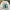 title fight + 3 CD photo 5