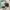 title fight + 3 CD photo 7